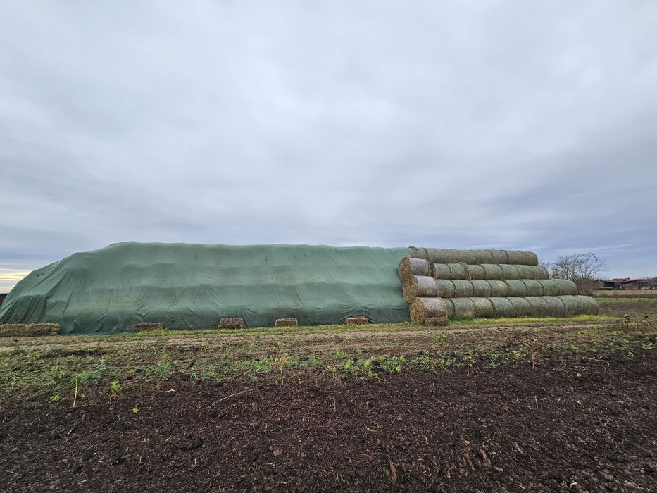 De vânzare baloti rotunzi de paie