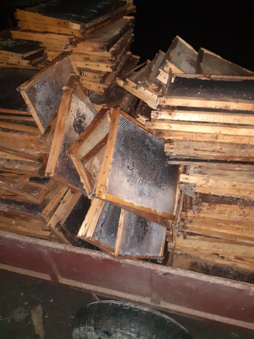 Topesc rame negre stupi