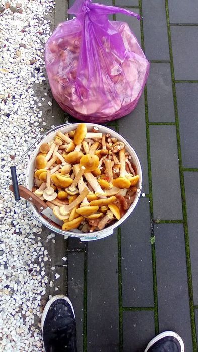 Ghebe de vânzare nane .bolumi