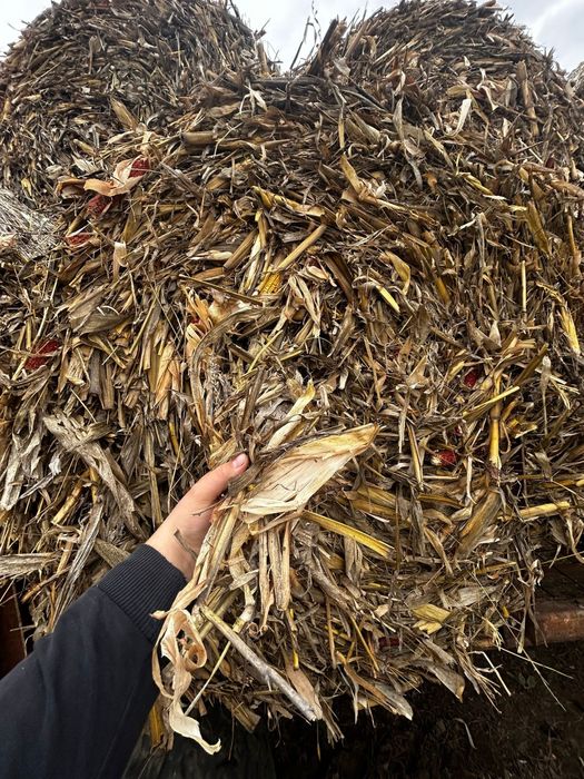 Baloti porumb,lucernă,paie