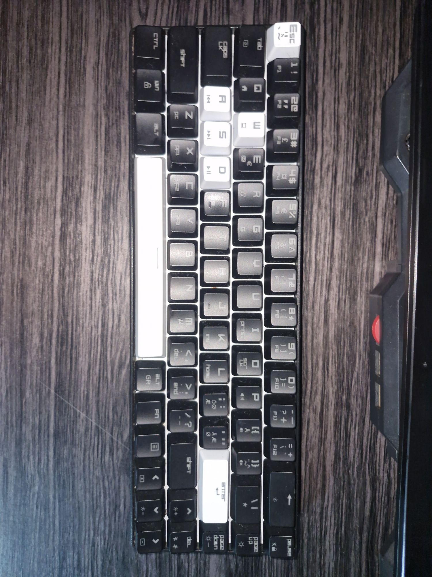 Tastatura mecanica Cepter