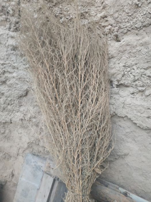 Katta spurgi sotiladi