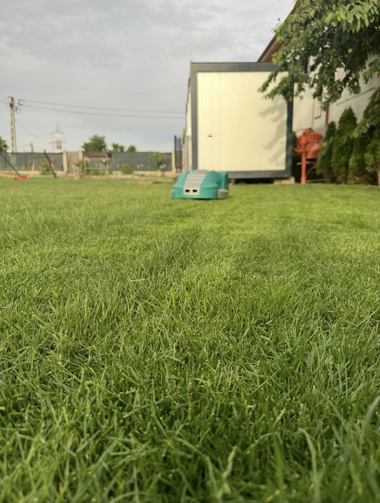 Bosch indego 1000