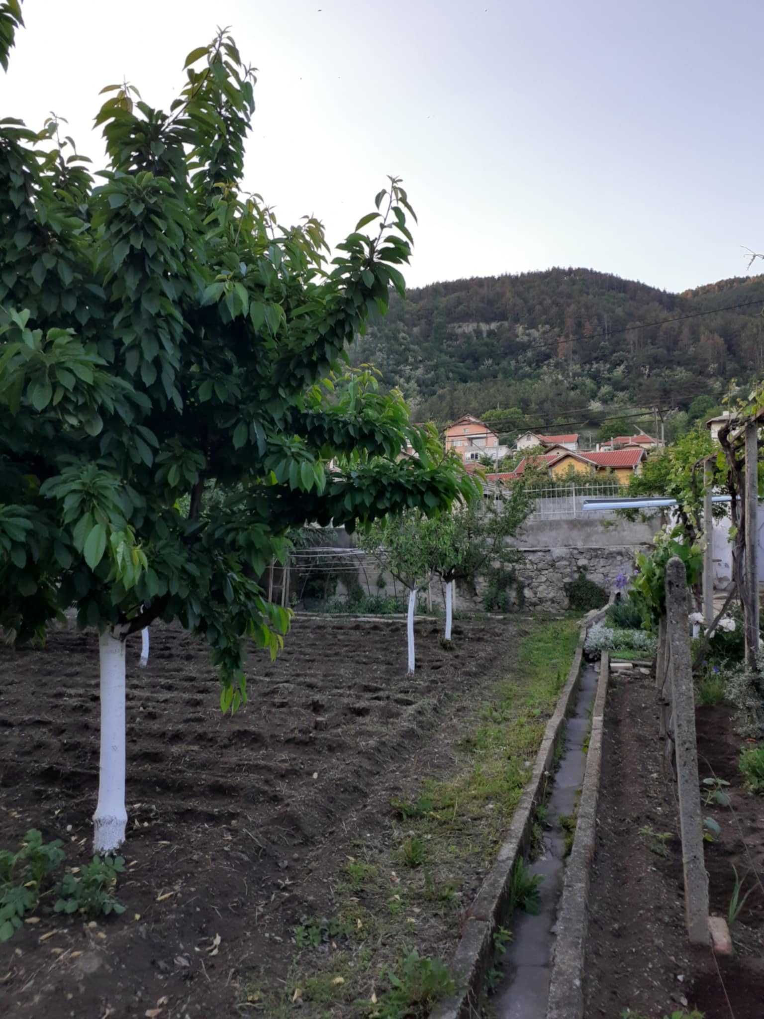 Продавам къща в гр.Мъглиж