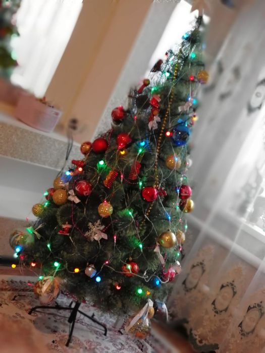 Елка продам. Высота 1.8.