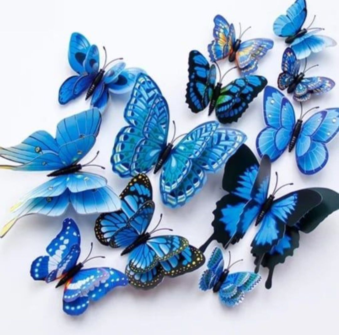 Декоративные бабочки.
