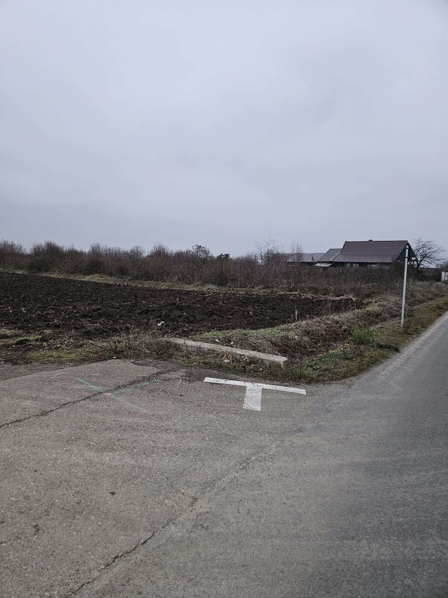 Vand parcele de teren în zona Tireamului
