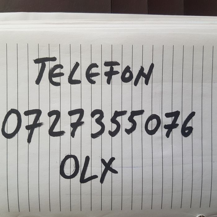 Pistol cu Capse - Jucarie