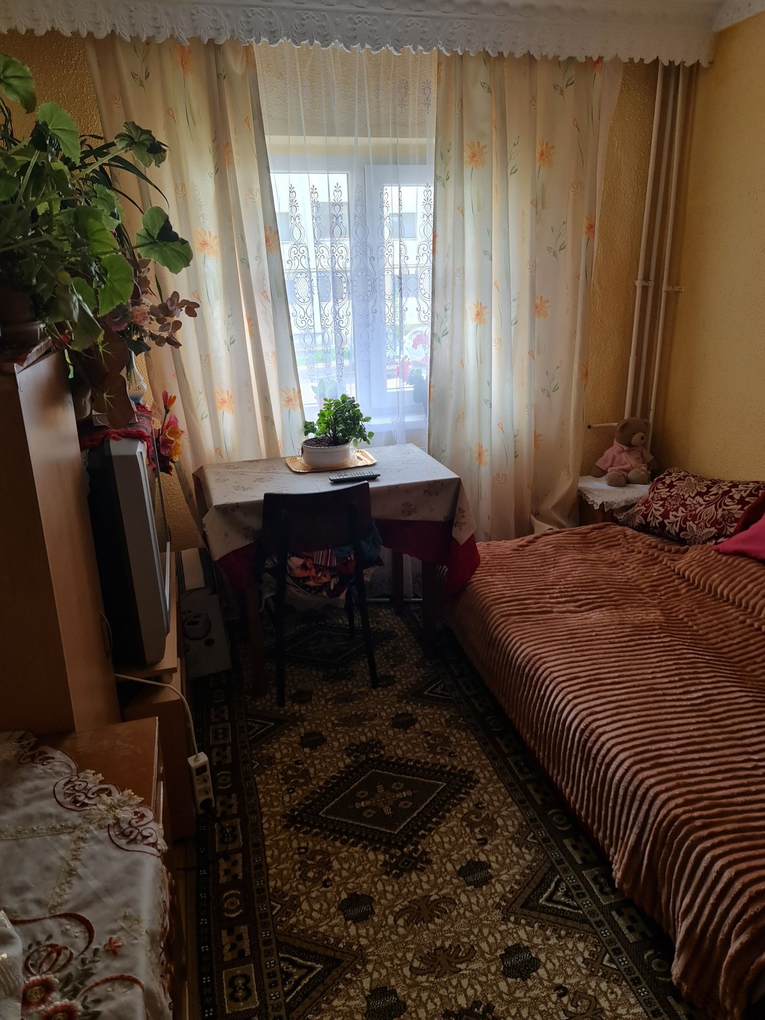 Primesc în gazdă o fată!