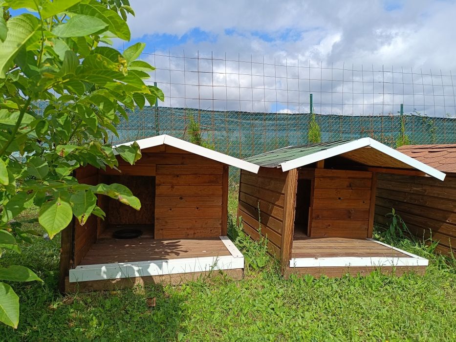 Къщички за куче.