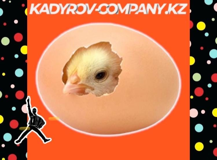 Инкубационное яйцо Ломан браун несушка привозной Россия ИЯ3
