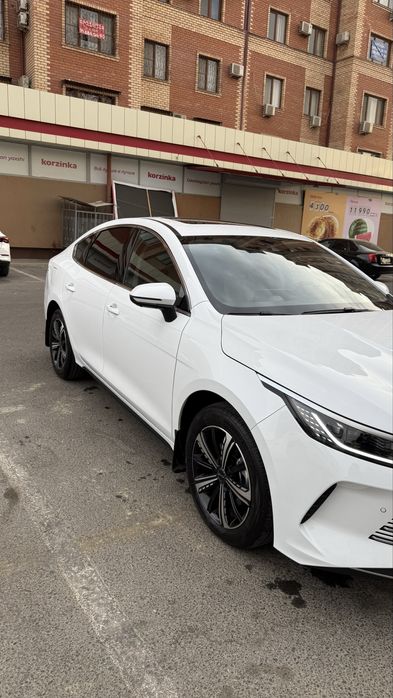BYD CHAZOR Full position 120 km