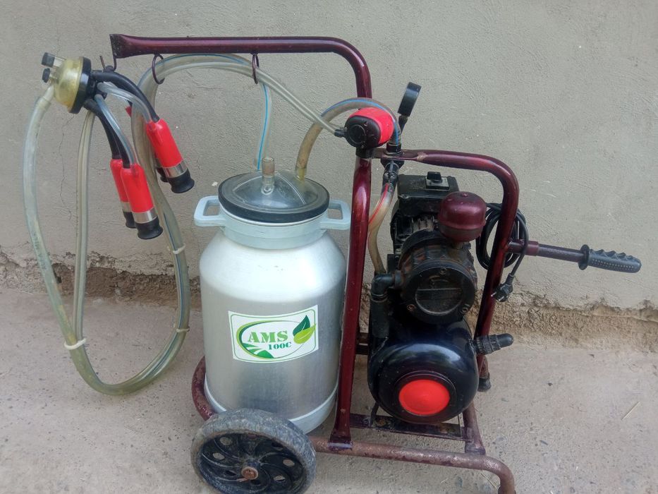 Sut sogadigan aparat