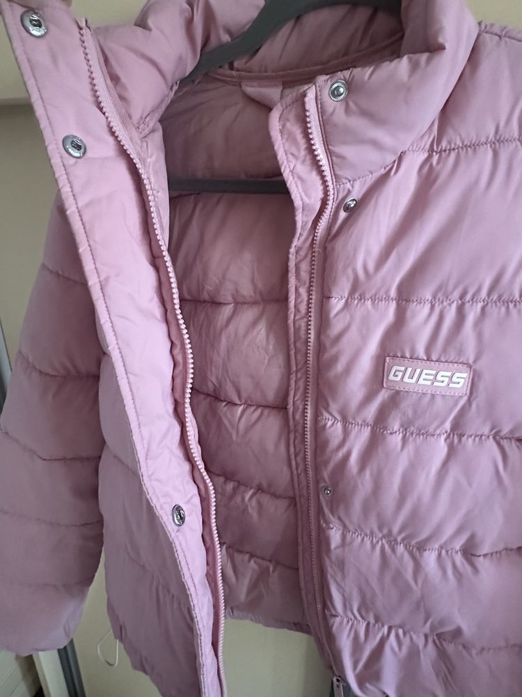 Марково яке guess