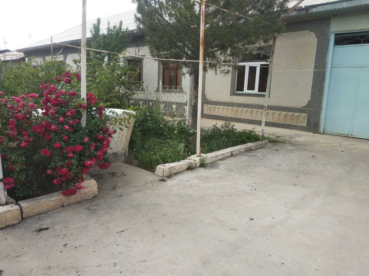 Qarshi tumani, Beshkent shahri, Hovli 8 sotix.