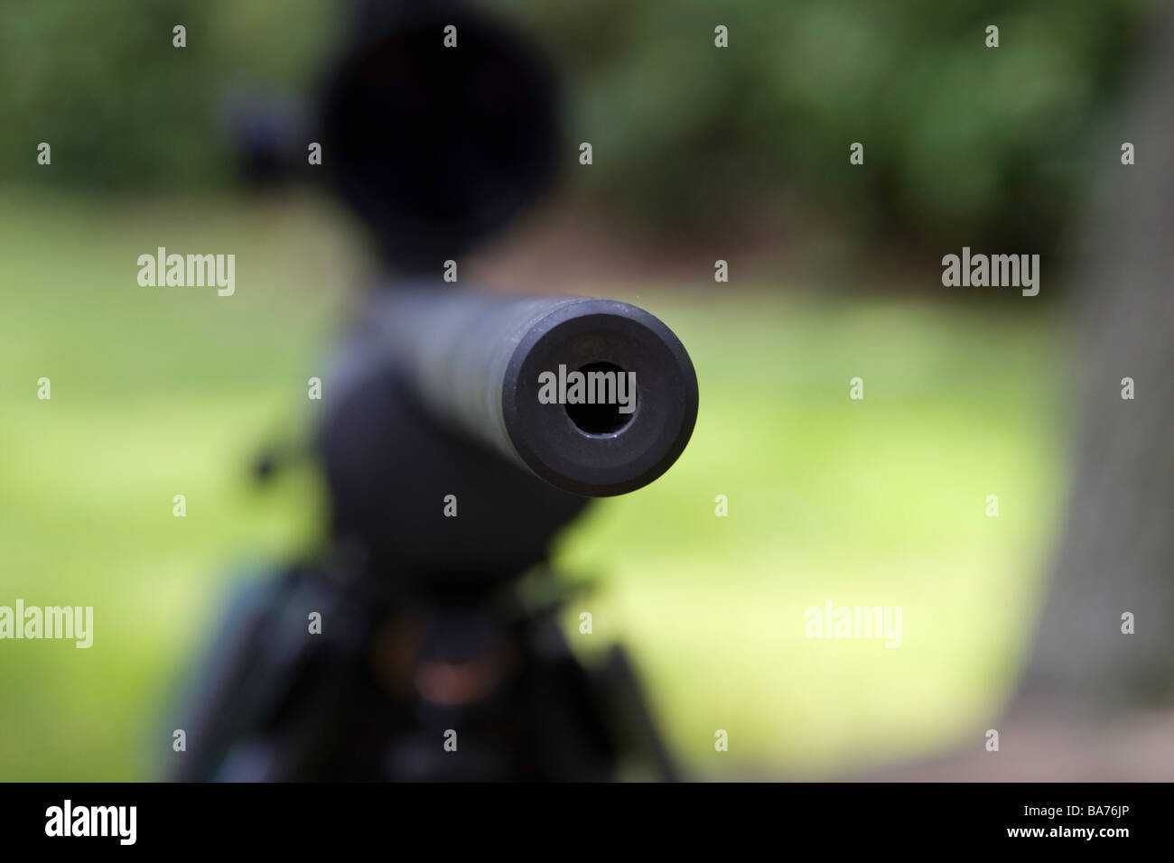 PUSCA MODIFICATA PENTRU LUNETISTI (Accesorii Incluse) Airsoft Carabina