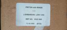 Pistoane motor lombardini LDW 1204