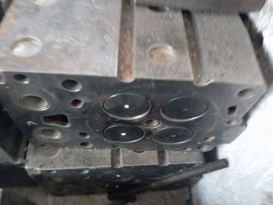 Галовка вичай хово маторлари учун