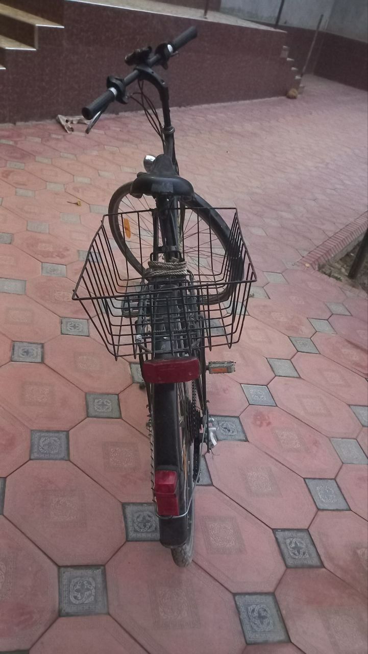 Germaniskiy velosiped