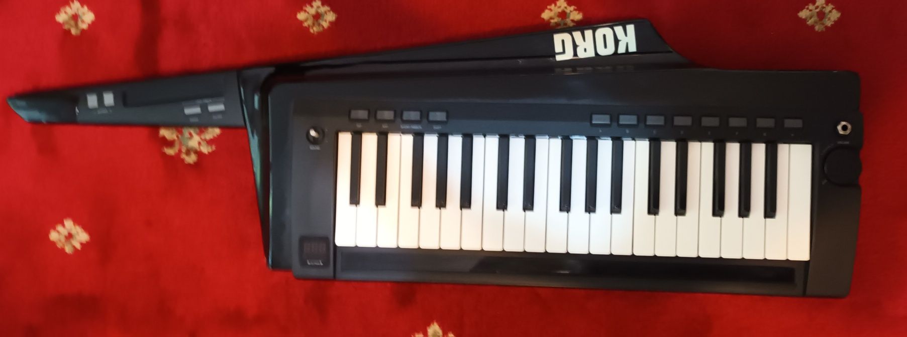 Orga KorgPA700 acordeon Hohner keyboard Korg RK 100S