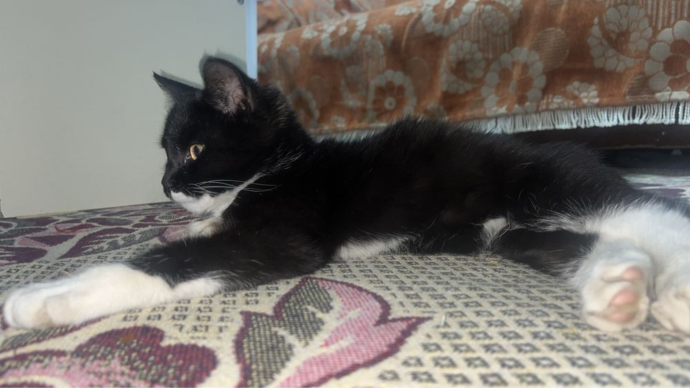 Жаксы карайтын адамга берем