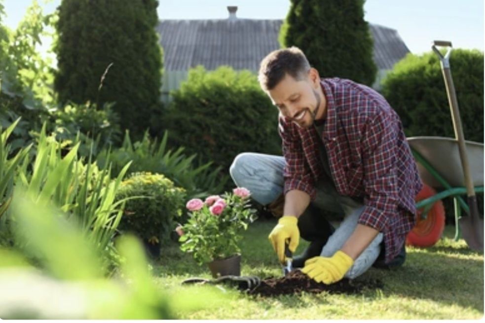 Gradinar.  Mentenanta proprietati
