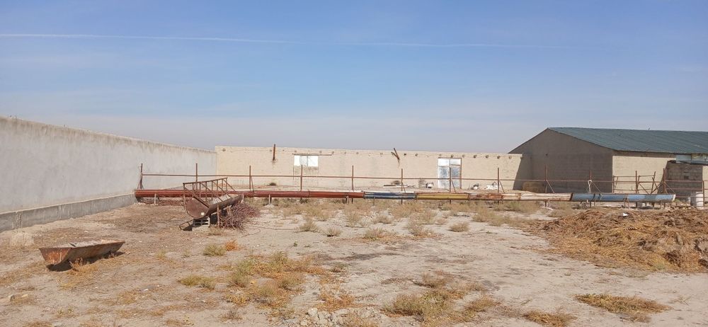 50 sotix yer va tayyor molxona — 140 000$