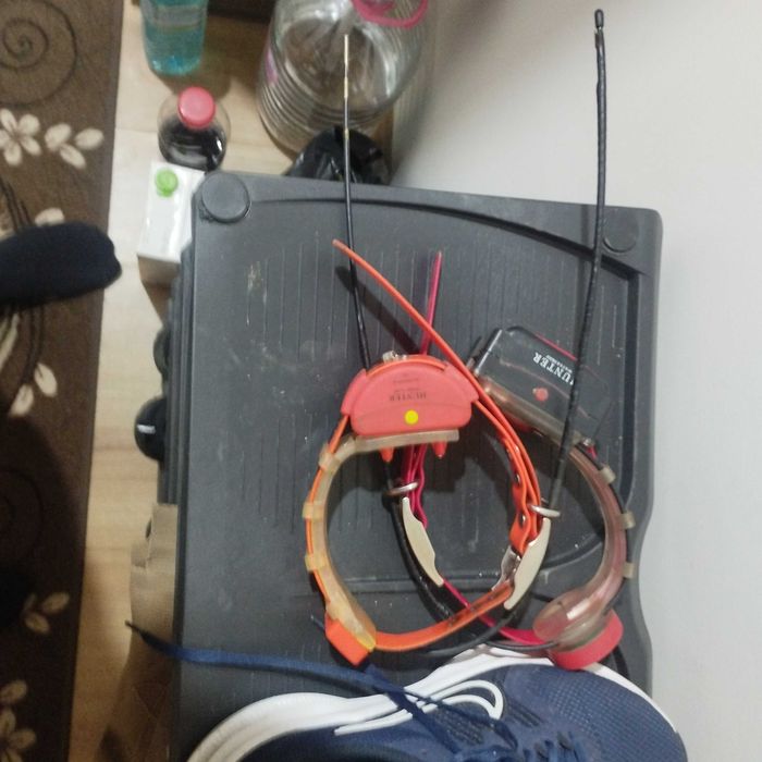 GPS Dtr 2500 за кучета