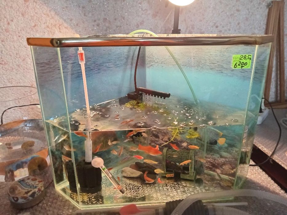 Аквариум 28.5 л 6200 тг