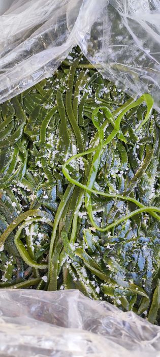 Морская капуста (соленая)