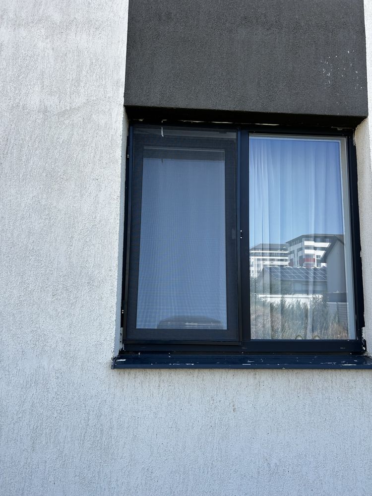 Executam plase de tantari