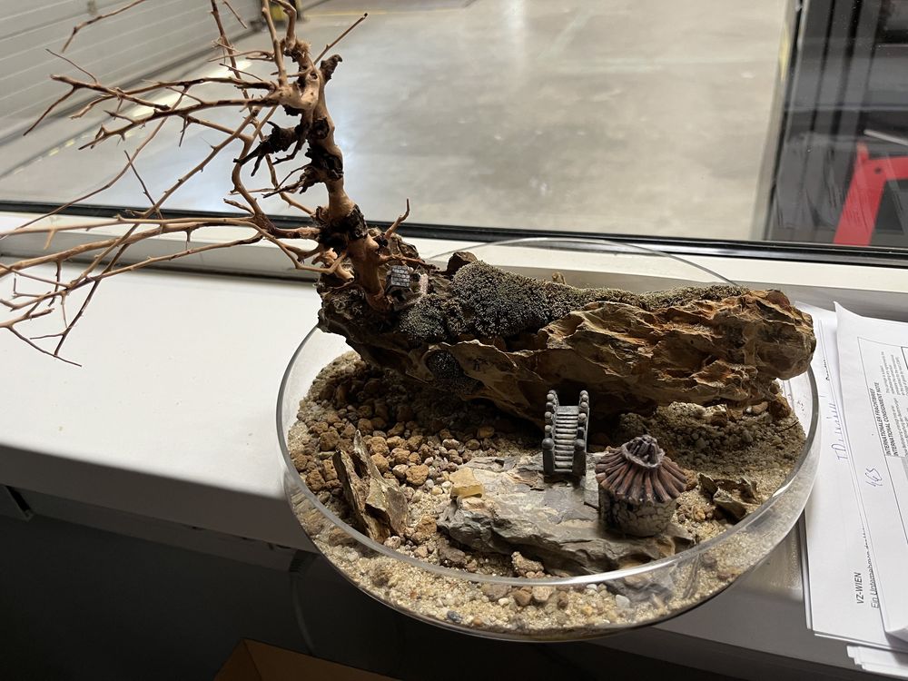 Terariu decor birou Meteora in miniatură