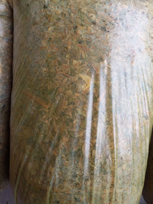 Selos bor donli ,qopli ,raspnoy