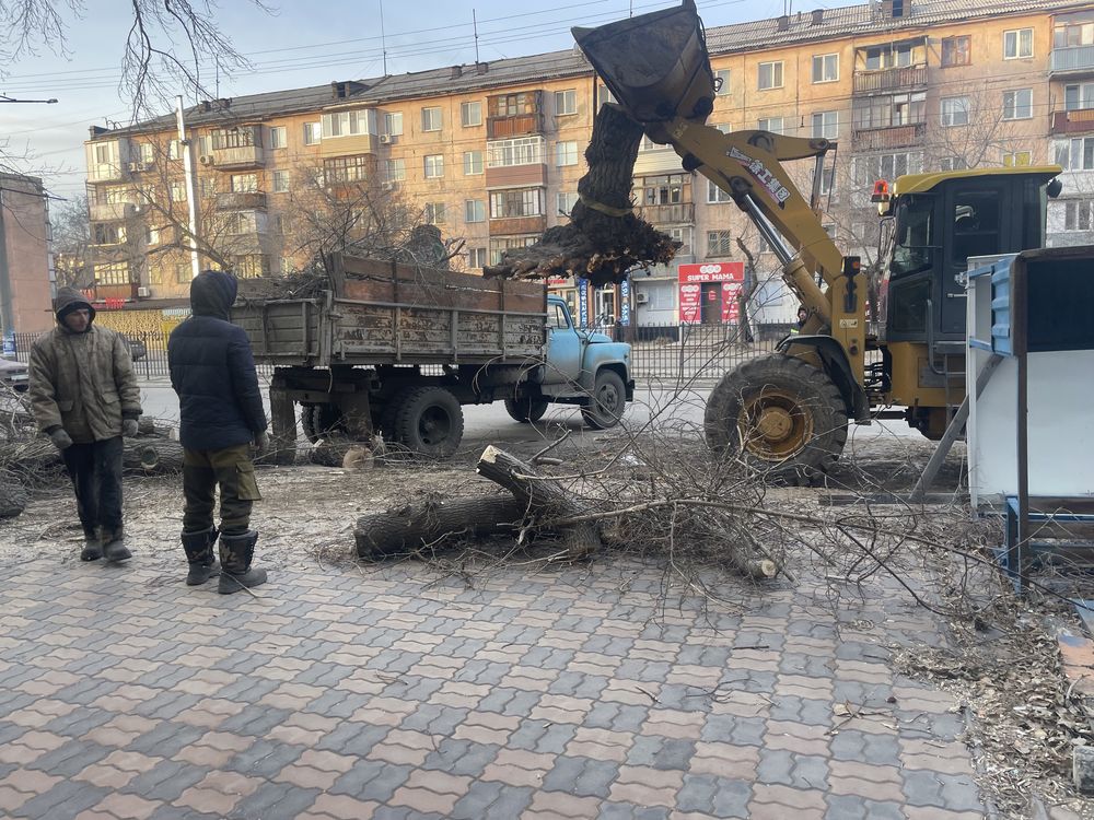 Спил и обрезка деревьев