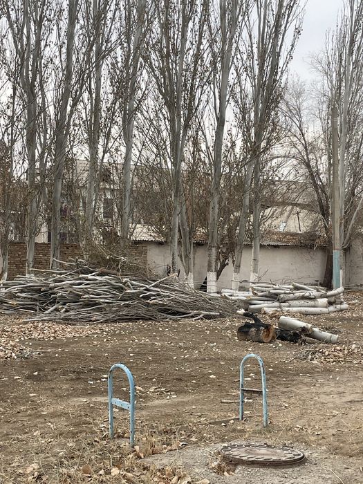 Қада бар бөлінген шыбықтарымен