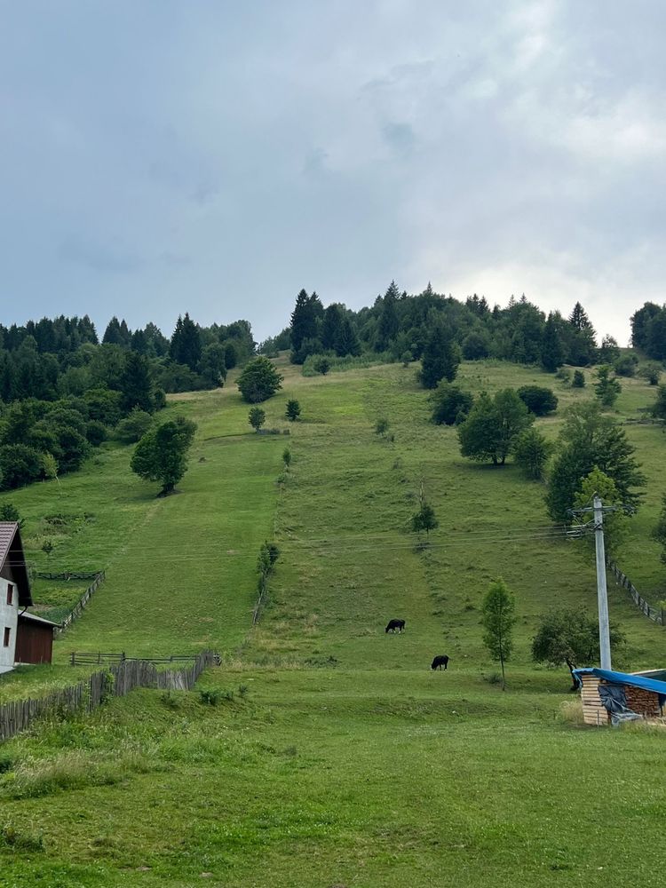 Teren de vanzare