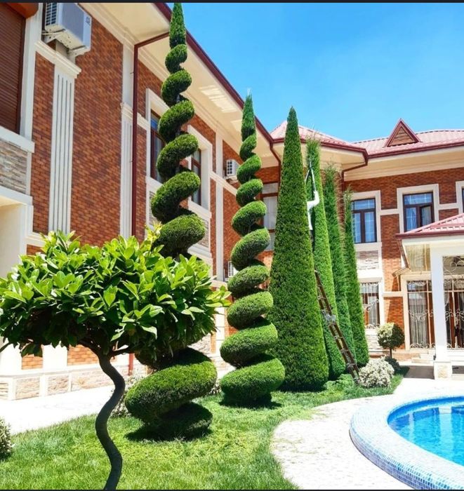 Садовник услуги Богбон