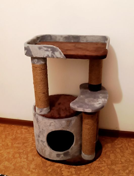 Когтеточка в хорошем состаянии