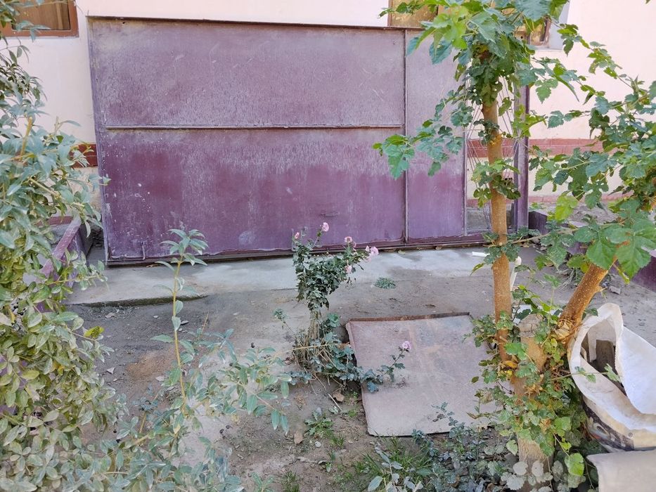 Темир     дарвоза