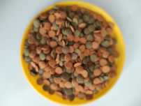 Корм Tetra Pleco Spirulina Wafers для травоядных сомиков