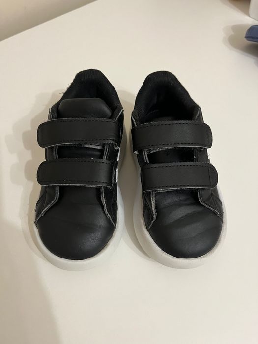 Adidas      bubble
