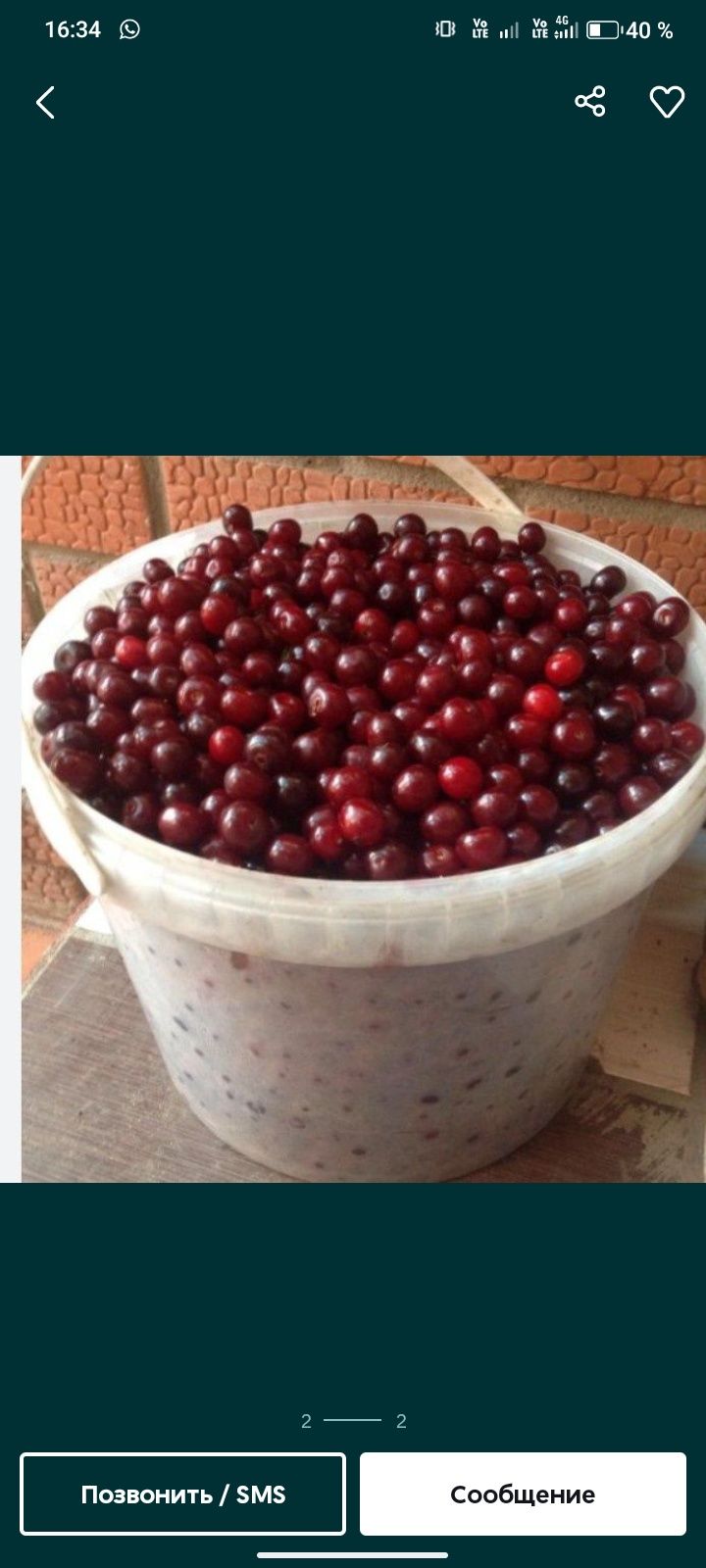 Продам Вишню дачную