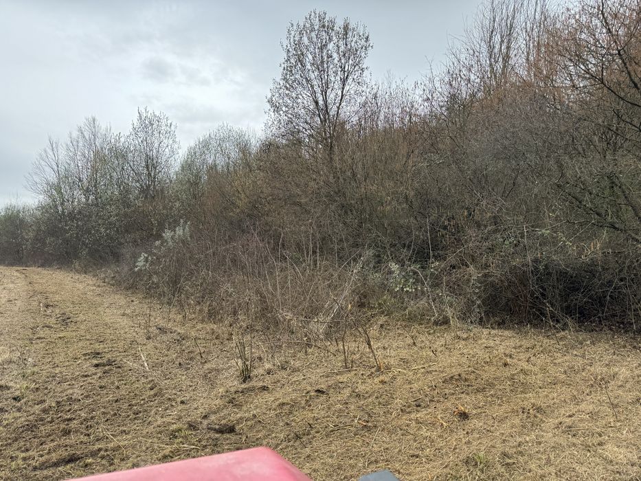 Defrisare terenuri pasuni, spini,maracini