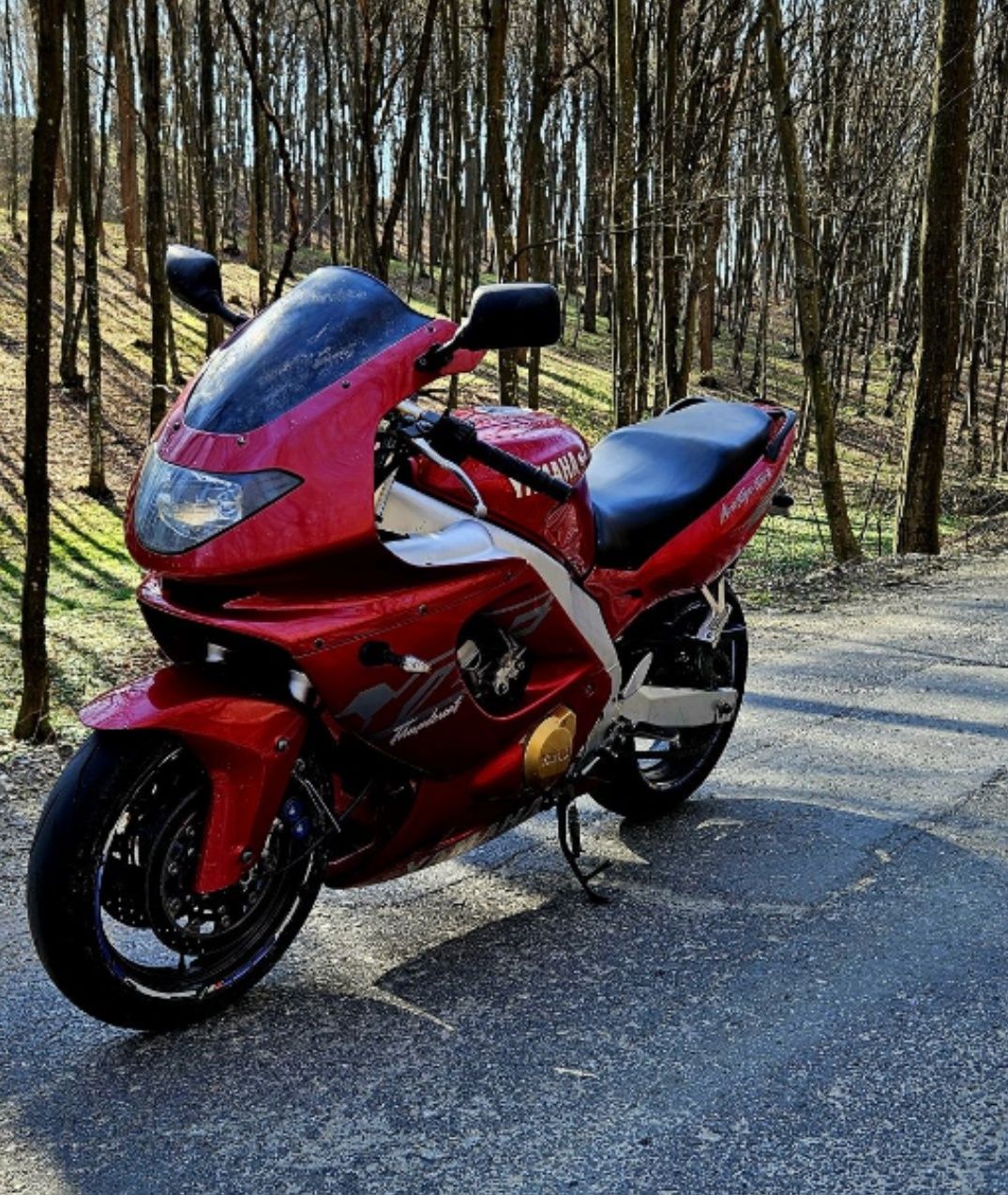 Yamaha Yzf Thundercat R