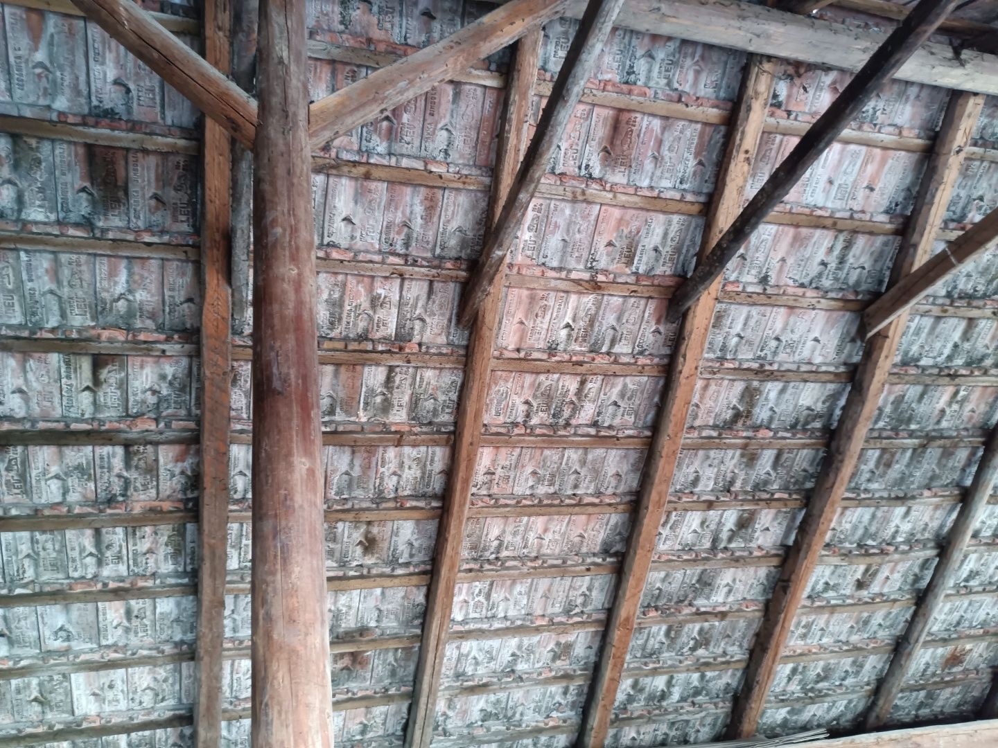 Țiglă ceramică Leu