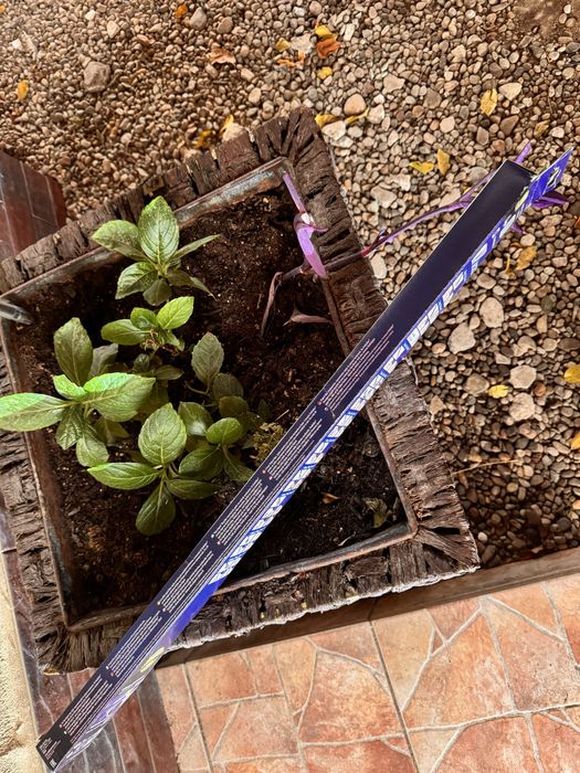 Set stergatoare parbriz Valeo Silencio Flat Blade VF423, 65/60 cm noi