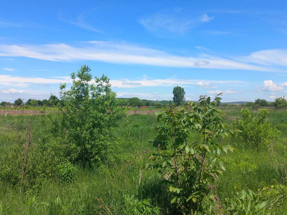 Vând Teren cu Front Stradal în Cartierul Tineretului