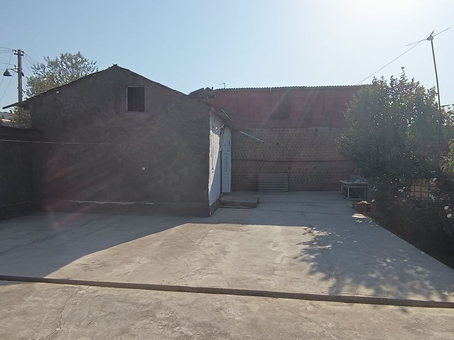 Dangal oladiganla tel qlila