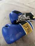 manusi box everlast 1910 pro club