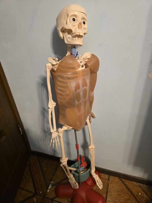 Colectia corpul uman Libertatea 1-46